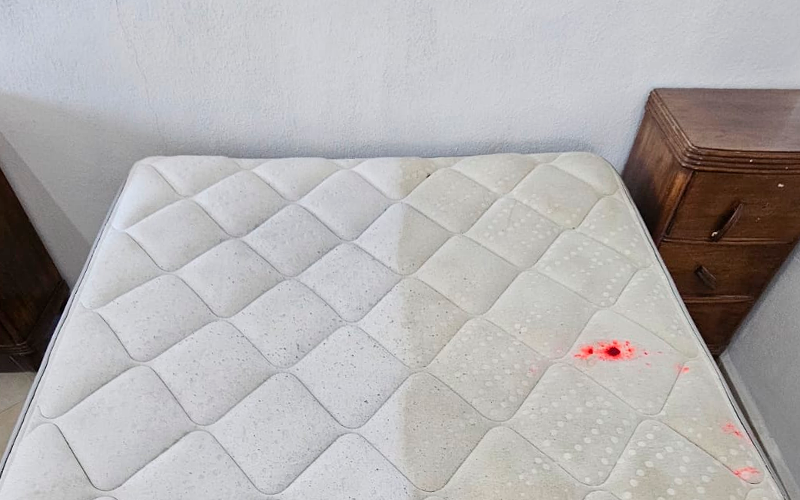 Limpieza de colchones